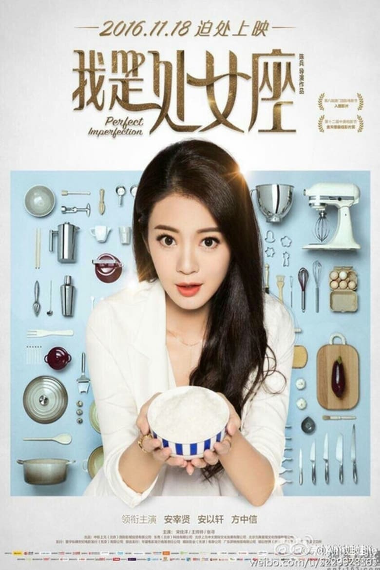 فيلم Perfect Imperfection 2016 مترجم