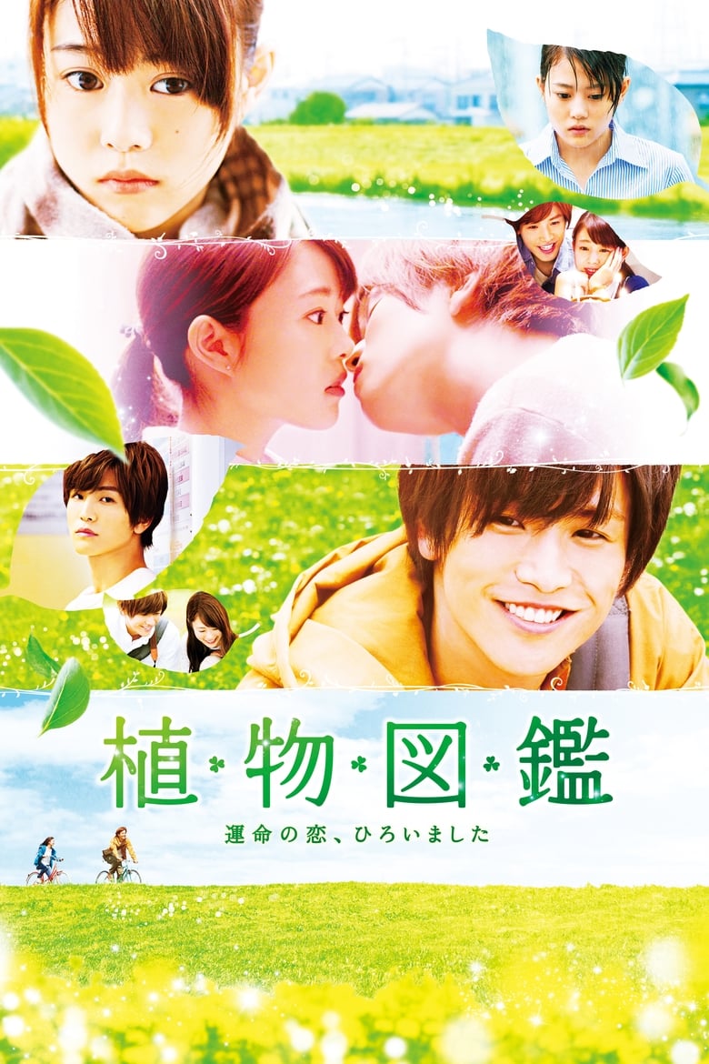 فيلم Evergreen Love 2016 مترجم