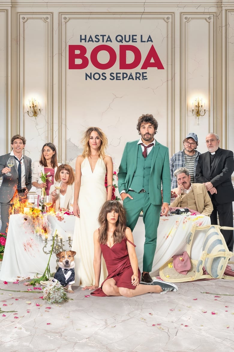 فيلم The Wedding Unplanner