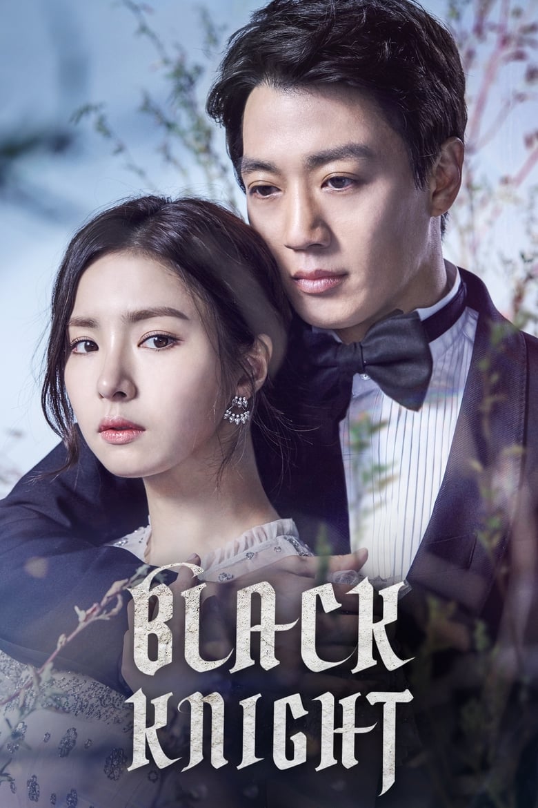مسلسل Black Knight