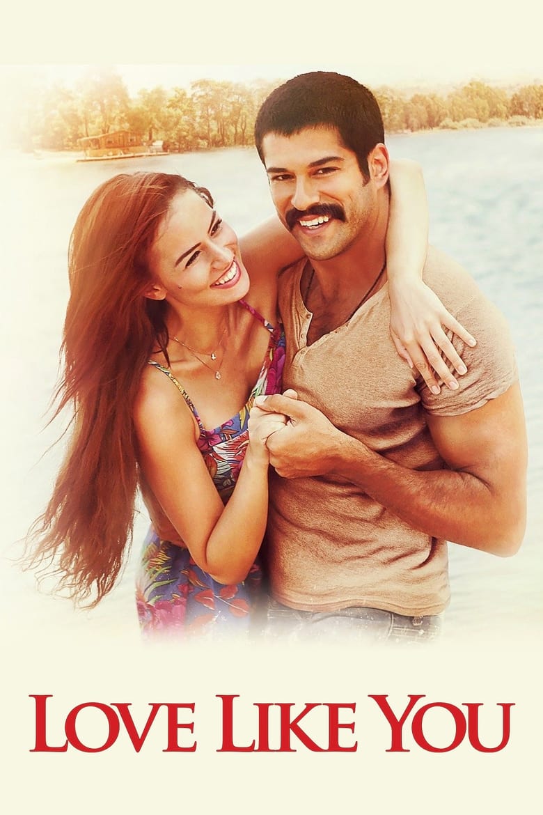 فيلم The Love is Similar to You