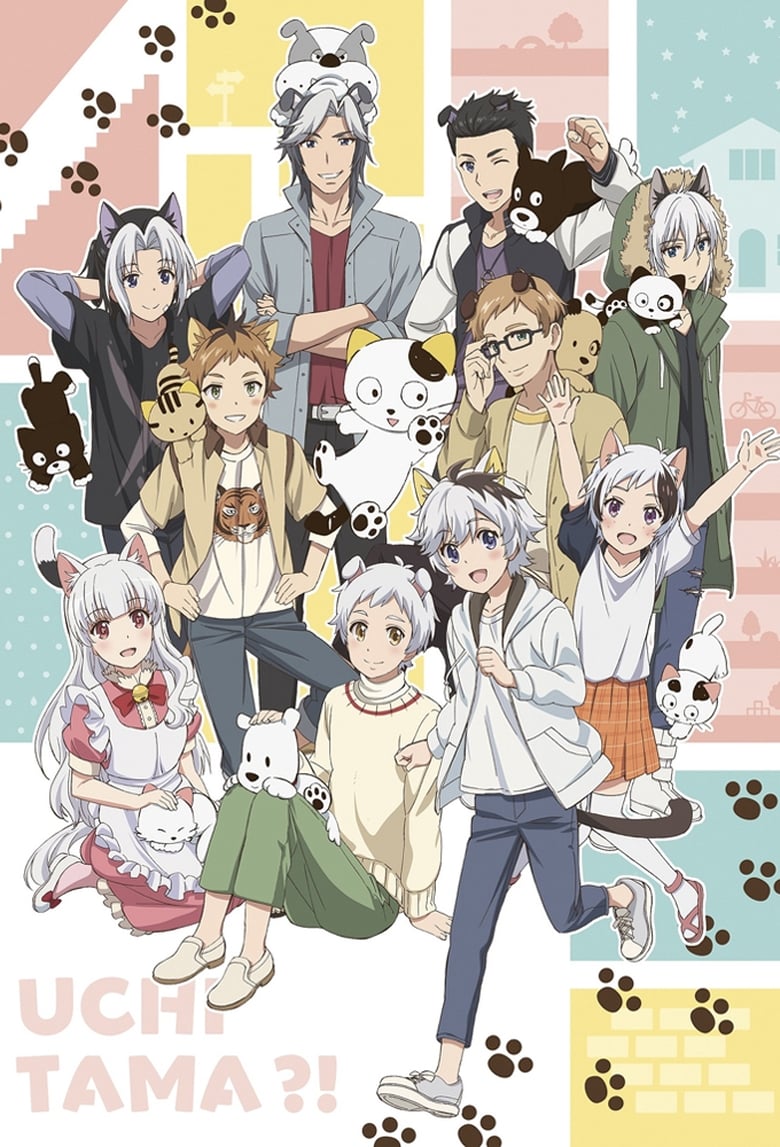 انمي Uchi Tama?! Uchi no Tama Shirimasen ka?