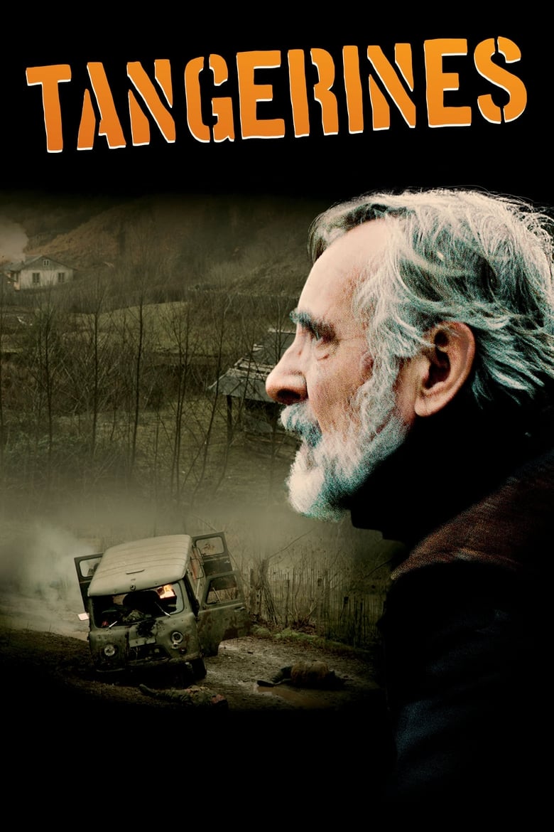 فيلم Tangerines 2013 مترجم