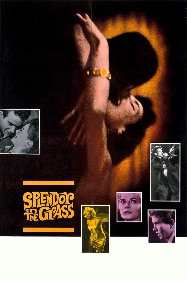 فيلم Splendor in the Grass