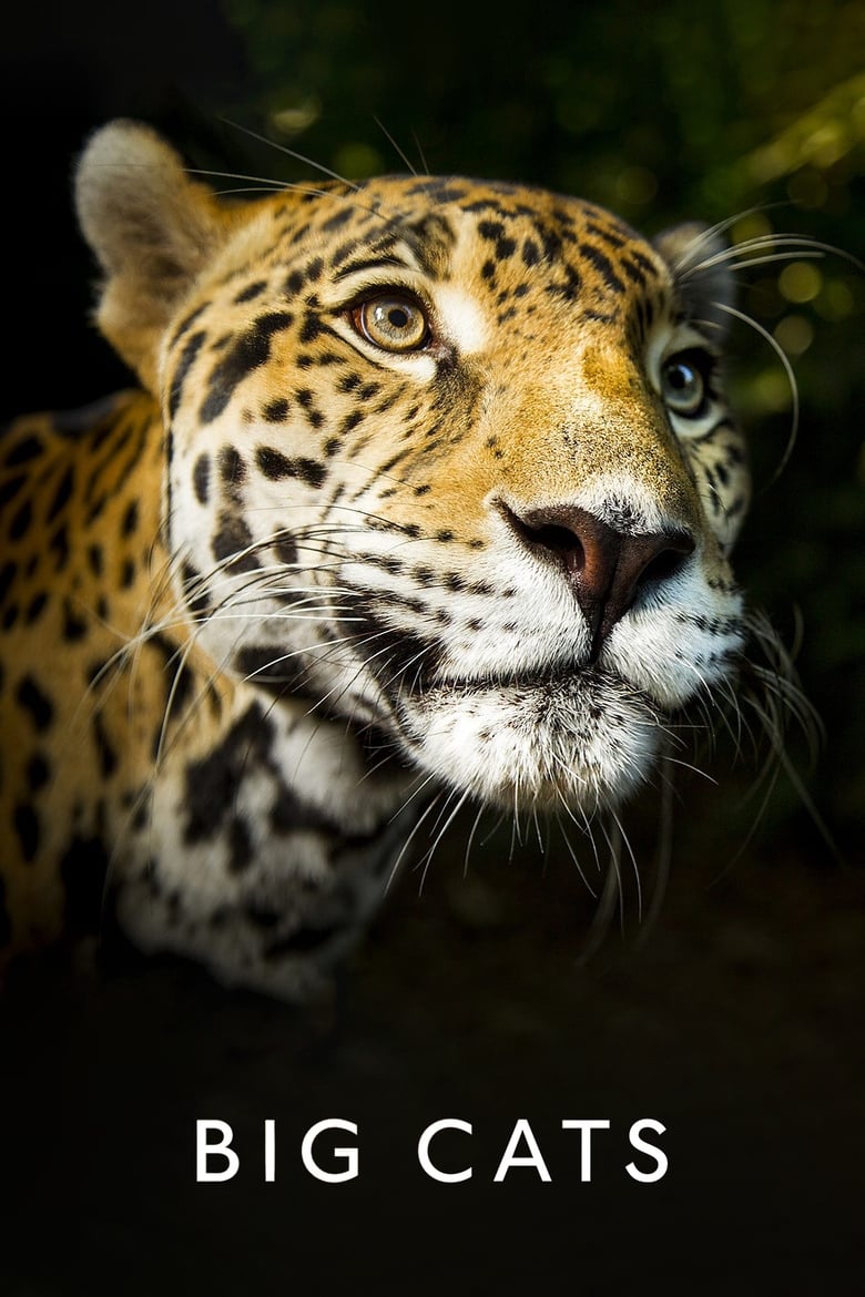 مسلسل Big Cats مترجم