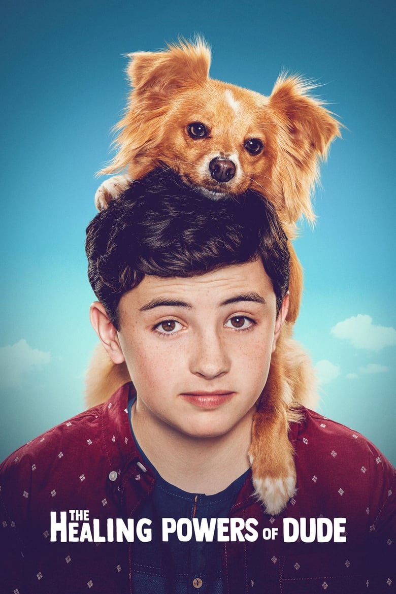 مسلسل The Healing Powers of Dude