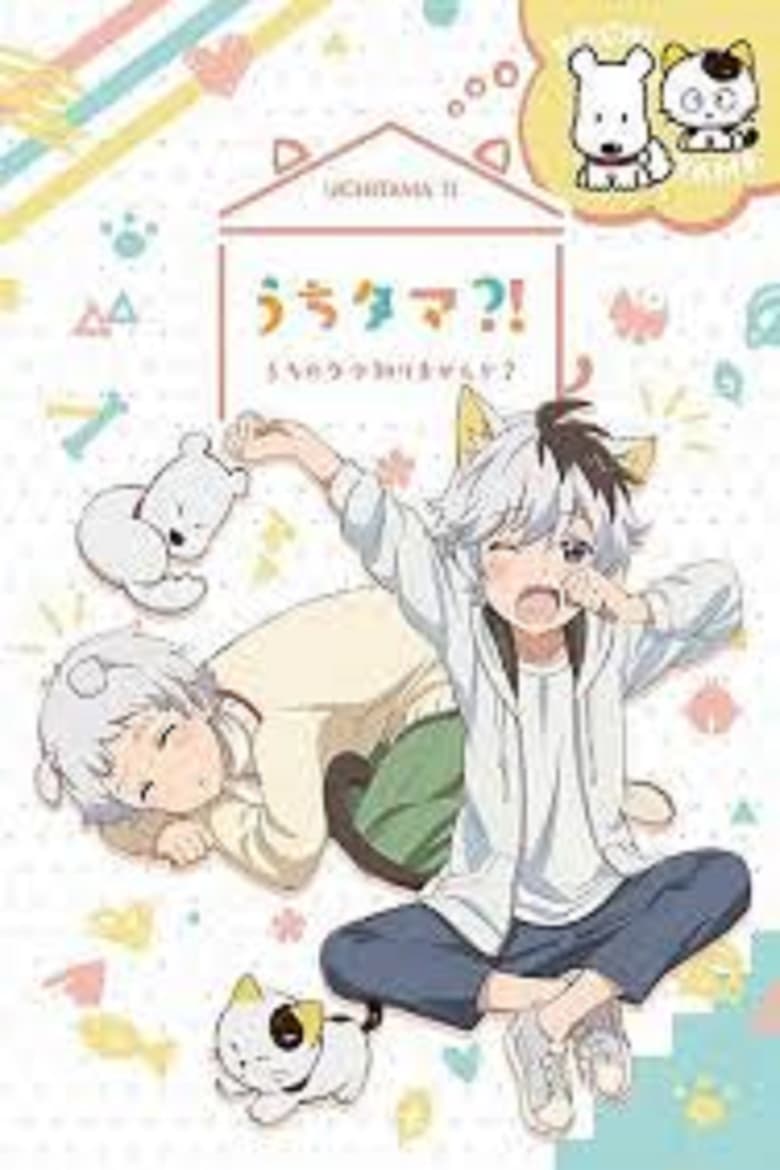 انمي Uchi Tama?! Uchi no Tama Shirimasen ka? الموسم الاول الحلقة 05 مترجمة
