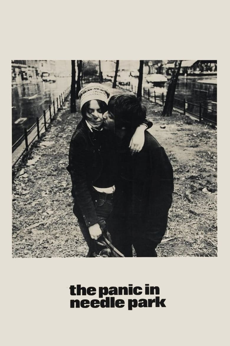 فيلم The Panic in Needle Park