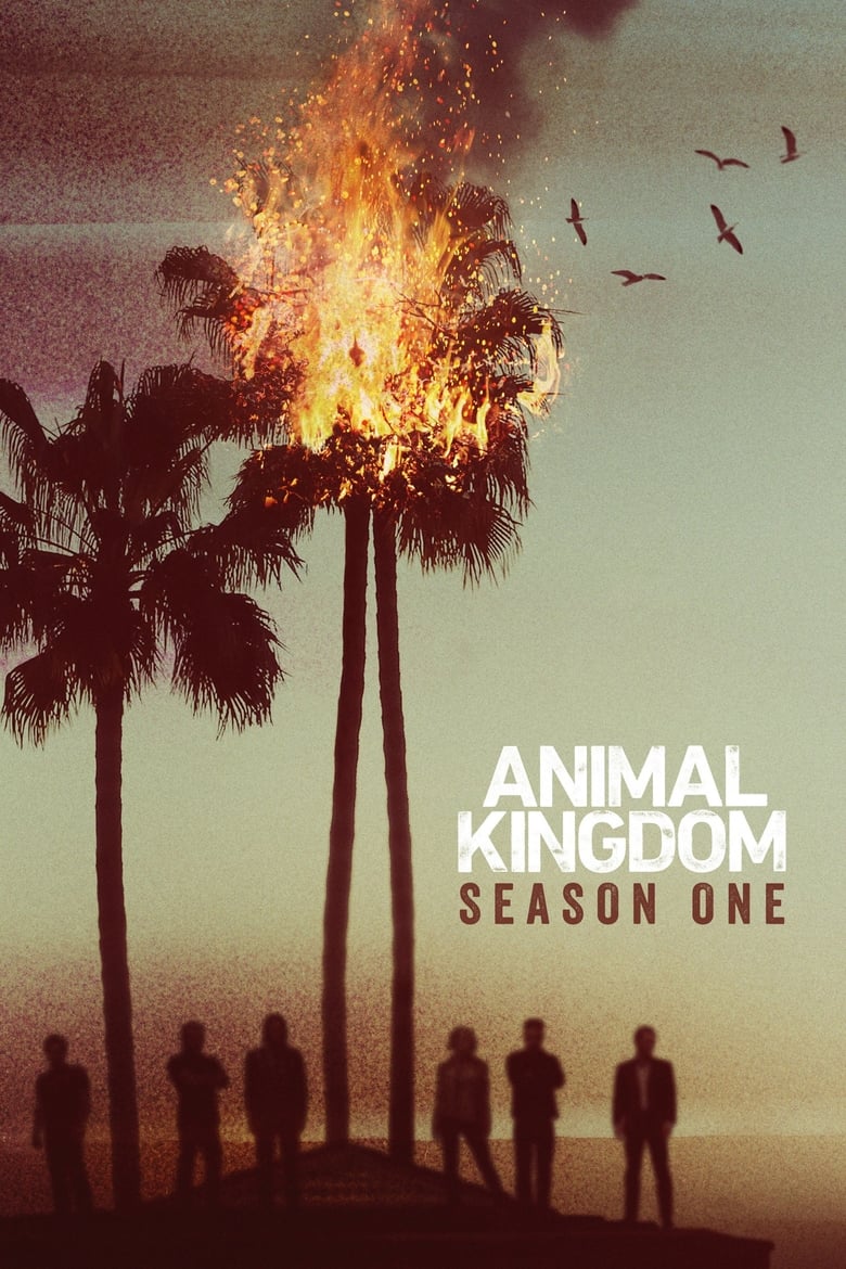 مسلسل Animal Kingdom الموسم الاول مترجم
