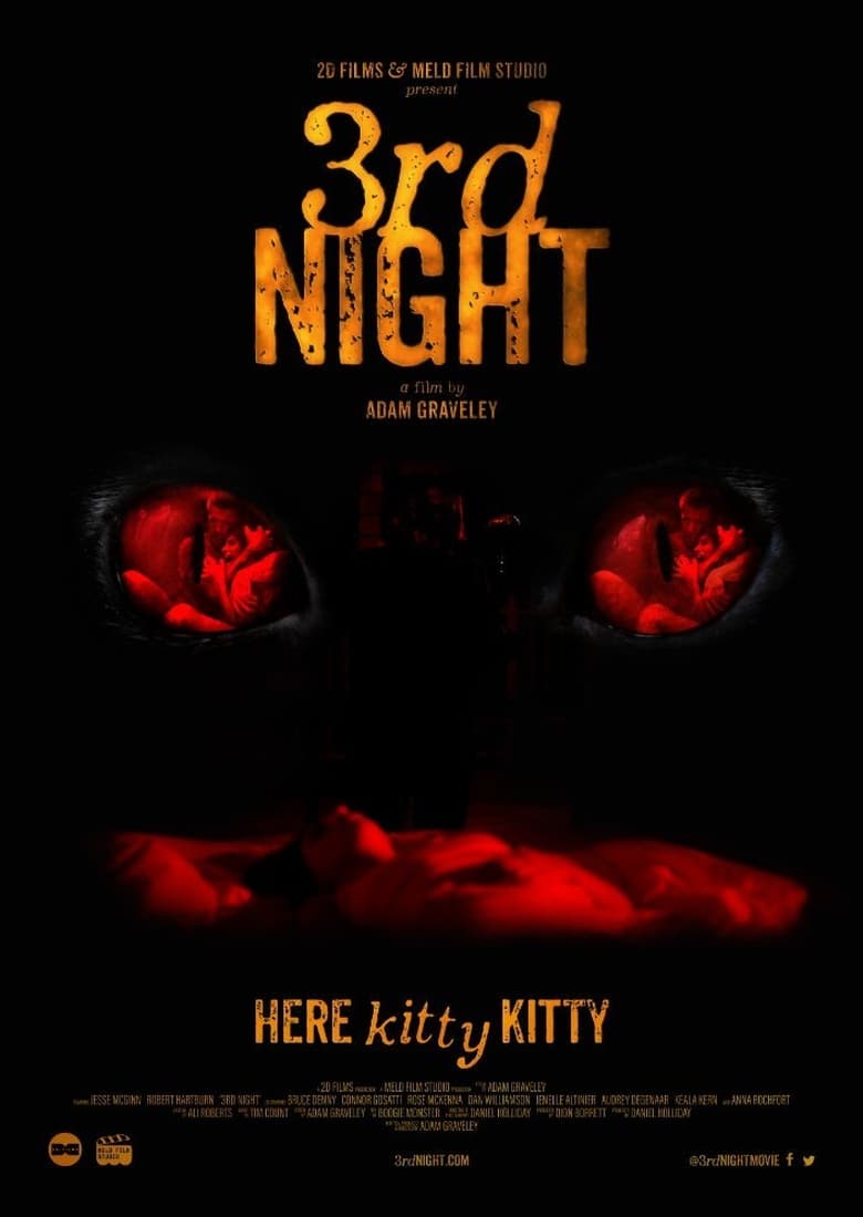 فيلم 3rd Night