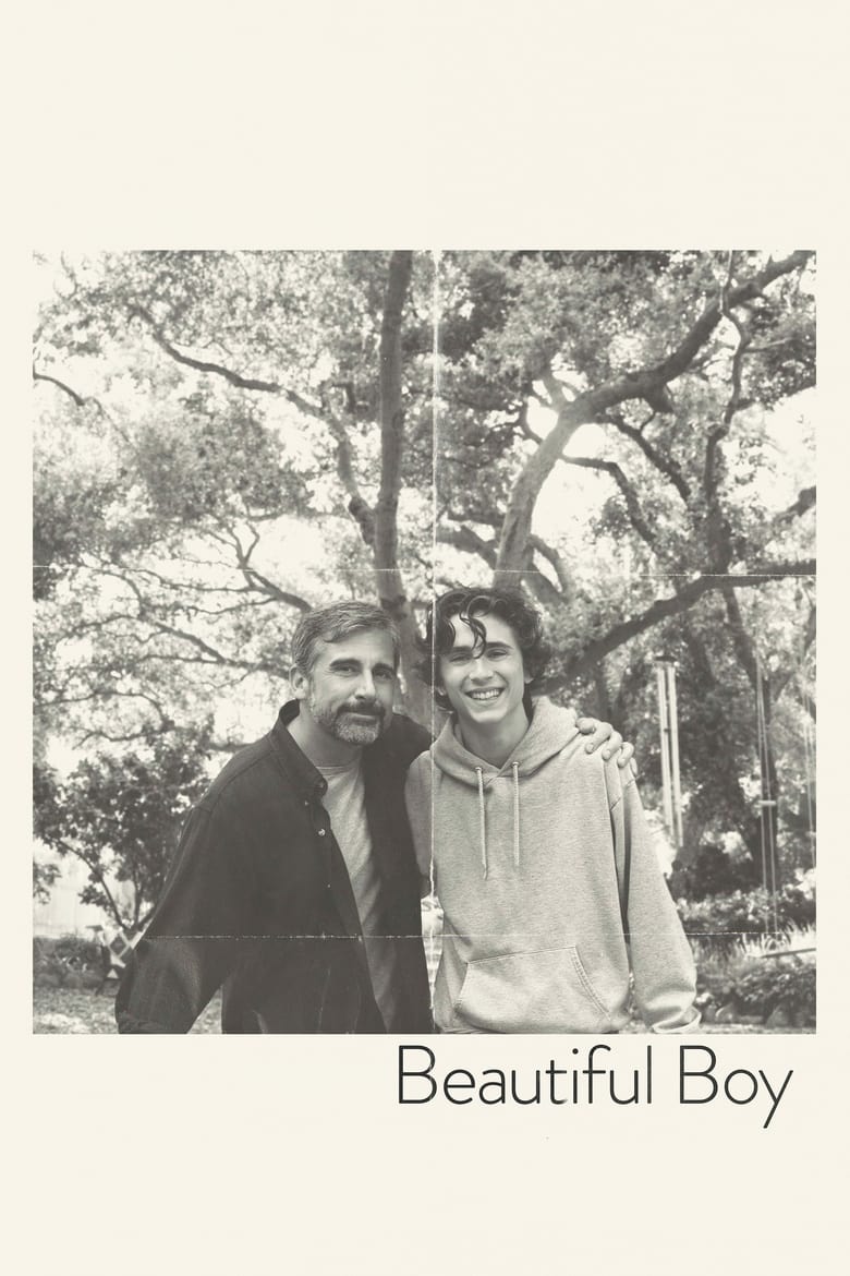 فيلم Beautiful Boy