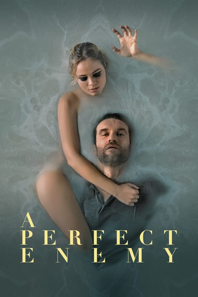 فيلم A Perfect Enemy
