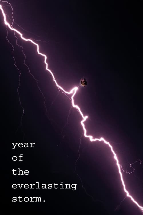 فيلم The Year of the Everlasting Storm