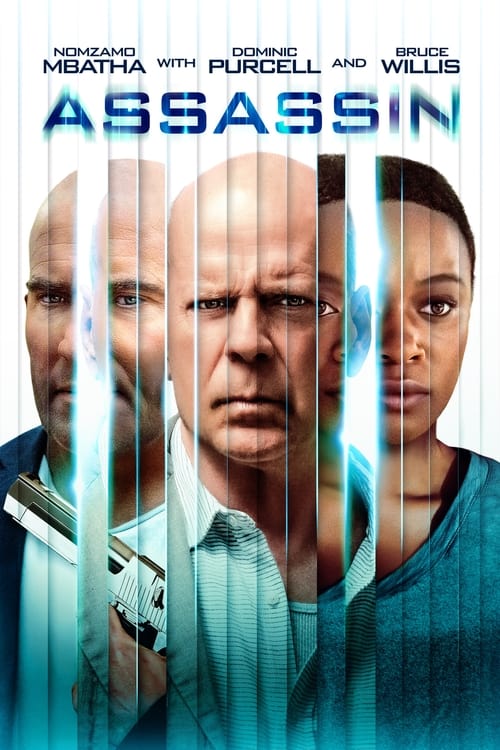 فيلم Assassin