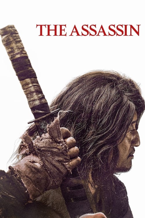 فيلم The Assassin